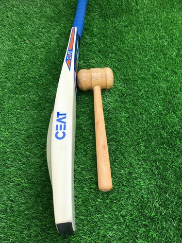 English willow cricket bat - english,