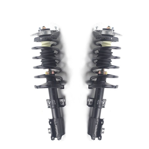 Front complete strut - w/strut, coil