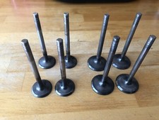 Ford RS2000  2.0l Complete Engine Valve Set