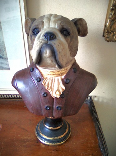 Gentleman aristocratic bull - aristocratic,