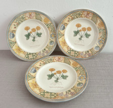 Wedgewood Home Garden Maze Side Plates Salad Vintage Floral Earthenware 18cm X 3