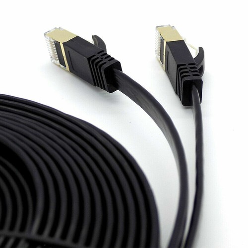 Cat ethernet cable network - cat,