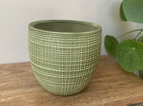 Scheurich german pottery plant - german,