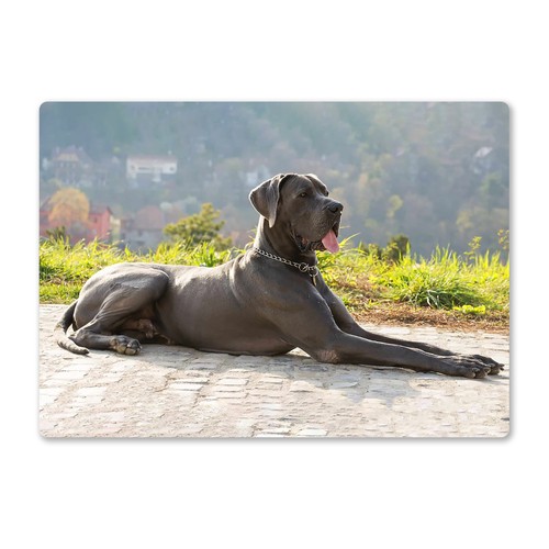 Metal wall sign - metal, great