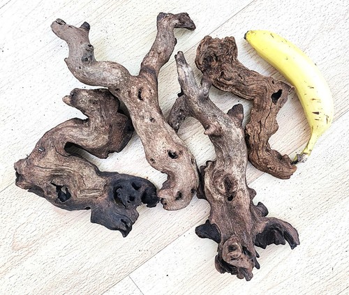 Aquarium root nice wood - aquarium,