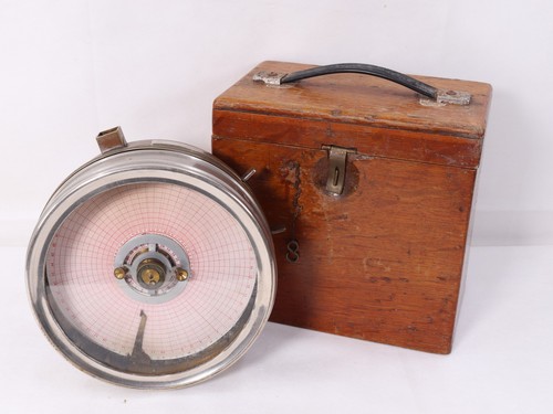 Large vintage pigeon - vintage,