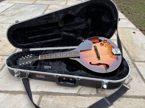 Ozark style electro acoustic - ozark,