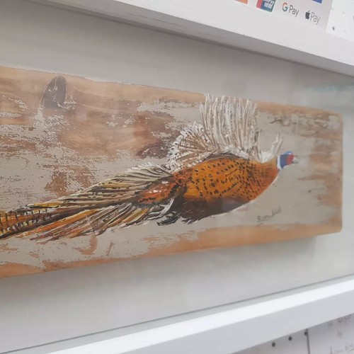 Pheasant flight - pheasant,