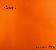 Natural Horsemanship Training