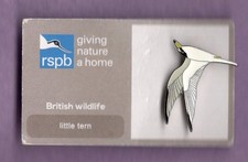 RSPB Pin Badge - Little Tern -