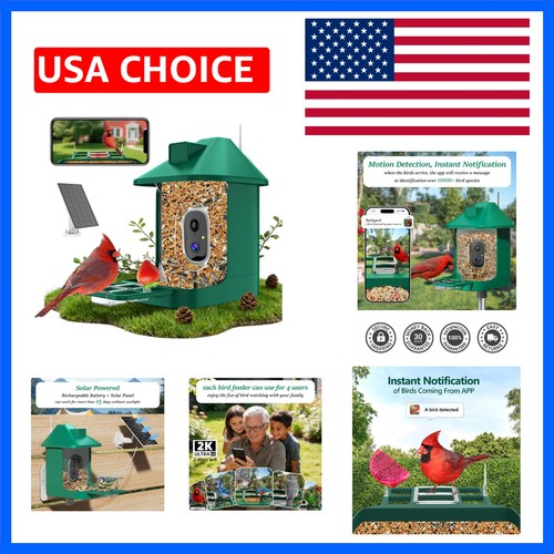 Bird feeder with - bird,