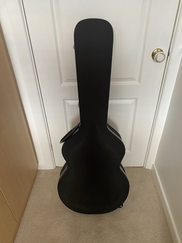 Guitar travel case - guitar,