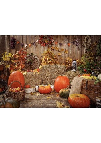 Halloween farm harvest - halloween,, farm,