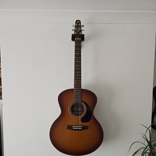 Seagull acoustic guitar