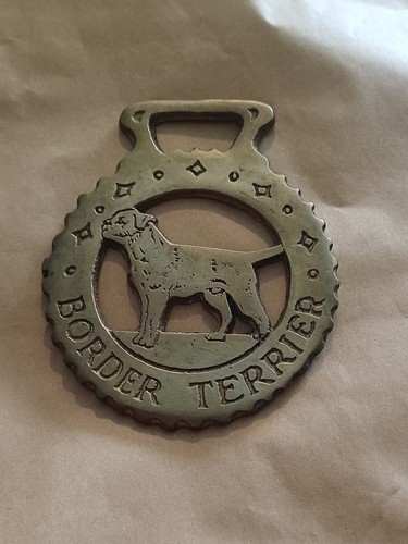 Vintage border terrier dog - terrier,