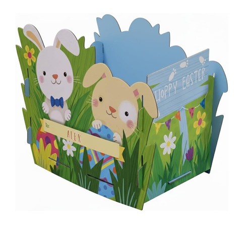 Easter chick bunny large gift - chick,