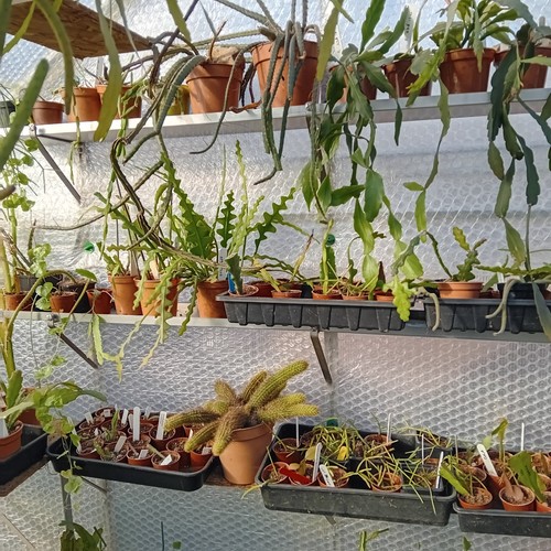 Aluminium greenhouse shelf - aluminium,