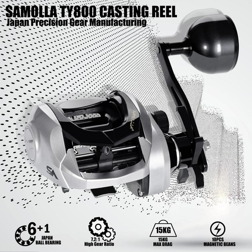 Large new baitcasting - large,
