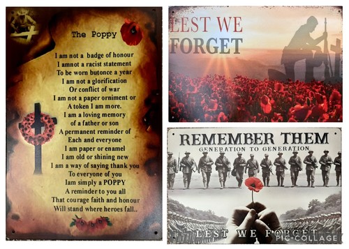 Lest forget poppy - lest,
