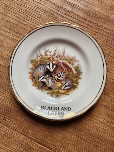 Argyle bone china blackland - bone,