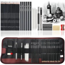 29/36Pcs Professional Artist