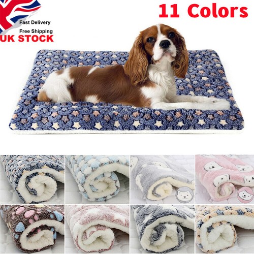 Puppy pet home blanket - blanket, dog