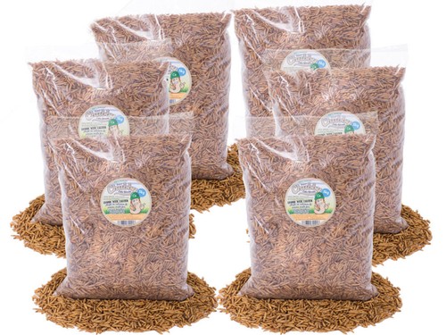 30kg chubby dried black - 30kg,