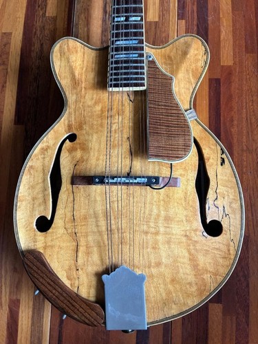 Mandolin player own - [mandolin,