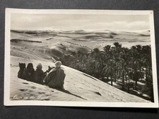 Oasis in the Desert Egypt Real