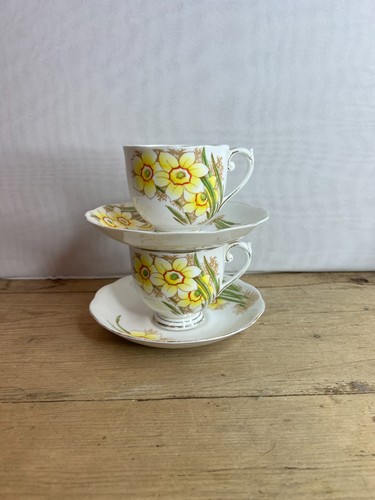 Vintage pair roslyn china - vintage,