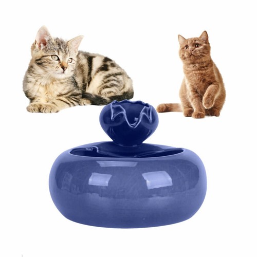 Blue lotus pet - pet, water