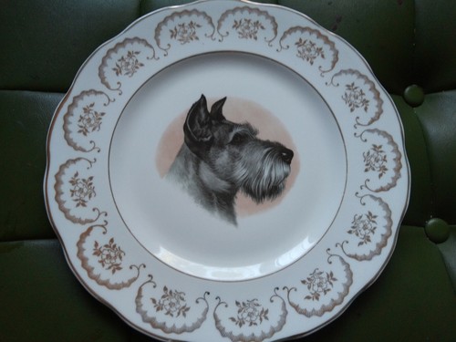 Fine english bone - english,