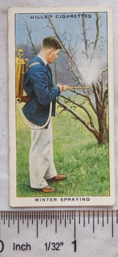 1938 wills garden hints - garden, no.