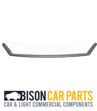 Front bumper upper grill - front, trim