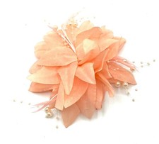 Ladies Peach Feather Clip