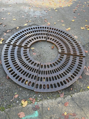 Tree grille grate cast iron - tree,