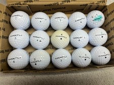 15 MINT! MAXFLI Straightfli