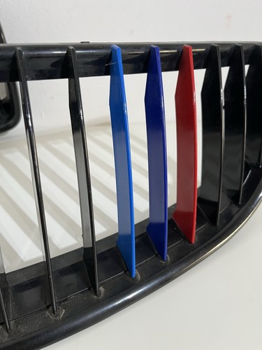 Front kidney grille - grille, grill