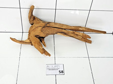 Aquarium Natural Wood