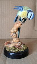 COUNTRY ARTISTS - BLUETIT WITH