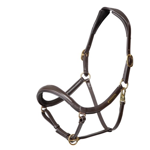 Shires velociti rapida curved - shires,