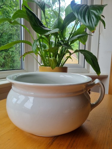Chamber pot swinnertons - pot,