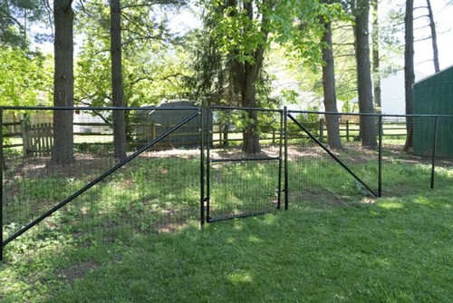 Easypetfence dig dog - easypetfence, fence