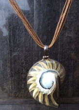 Beautiful Clear Chambered