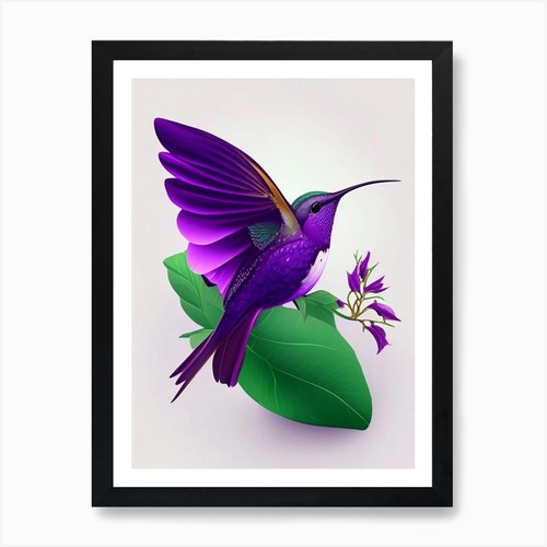 Violet crowned hummingbird - violet,