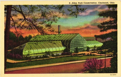 Eden park conservatory - eden,