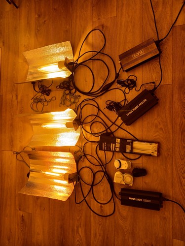 Indoor 600w grow - indoor,