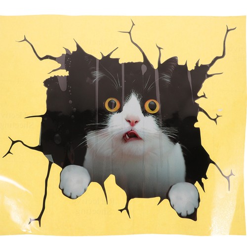 Cat car decal - decal,