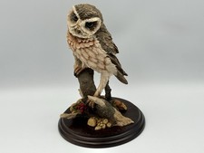 Country Artists Little Owl
