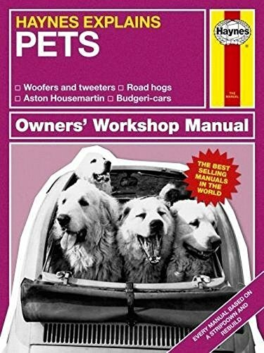 Pets haynes - (haynes, explains)